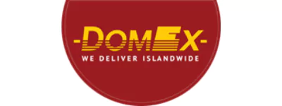 Domex Courier Transport Tracking Logo