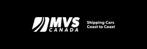 MVS Shipping Service Tracking Logo